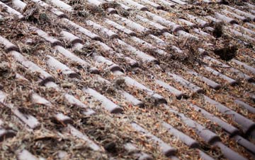 Llansadurnen roof cleaning companies